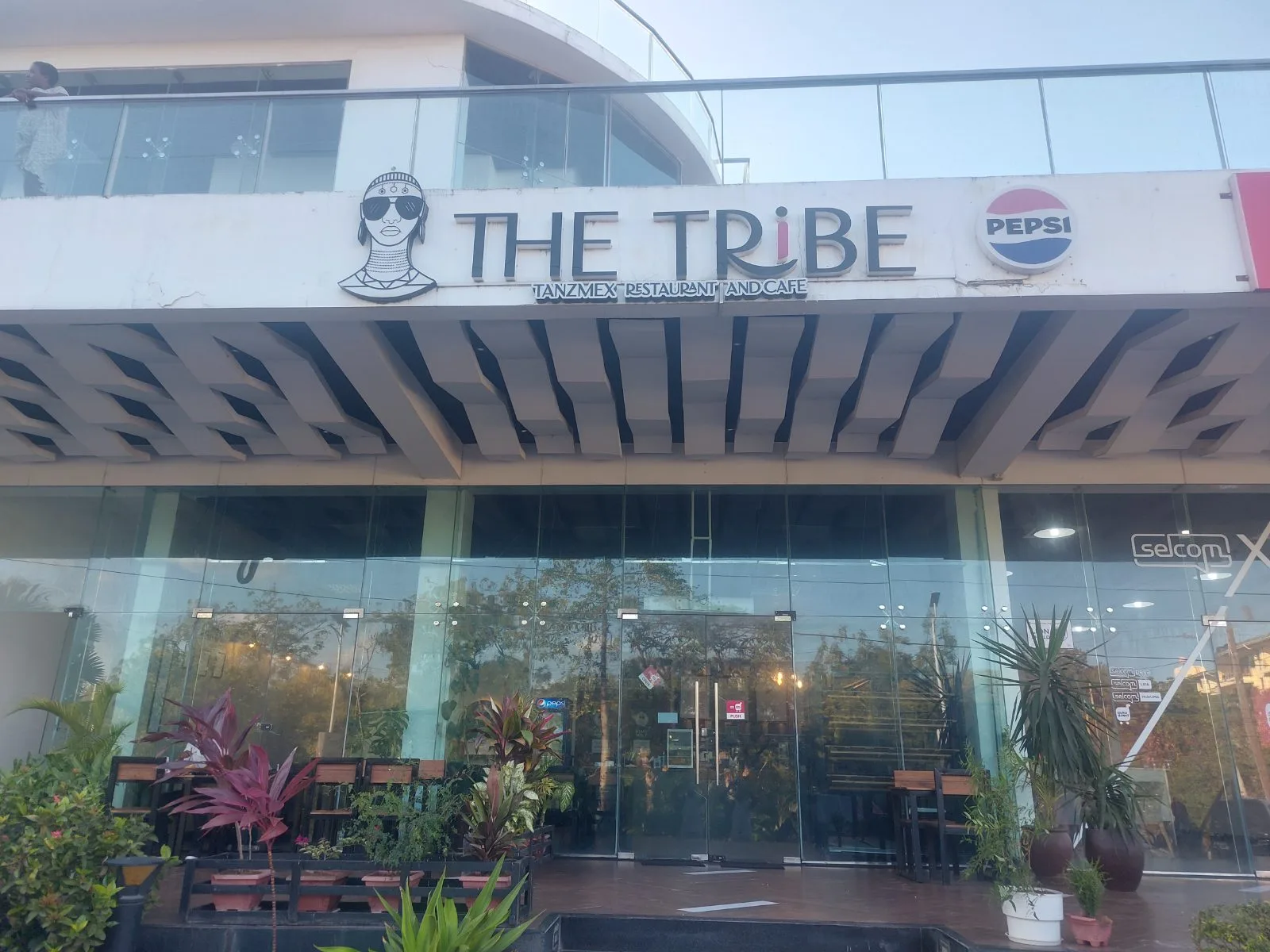 The Tribe